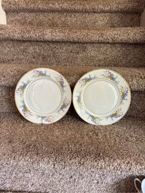 Arcadian salad plates